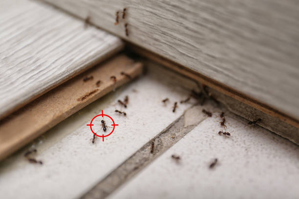 Best Pest Removal Services  in Suamico, WI