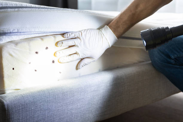 Best Cockroach Control Services  in Suamico, WI