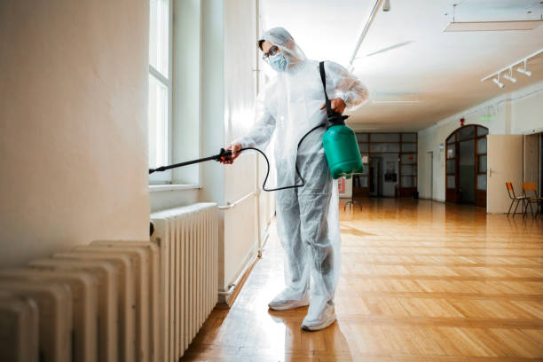 Best Flea Control Services  in Suamico, WI