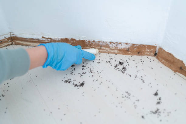 Best Pest Prevention Services  in Suamico, WI