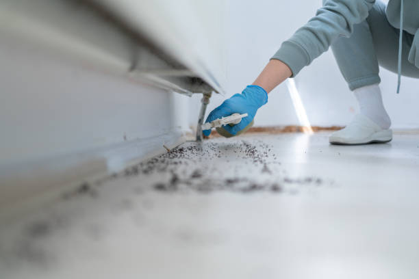 Best Wildlife Control Services  in Suamico, WI